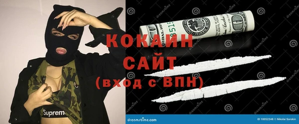 сатива Аркадак