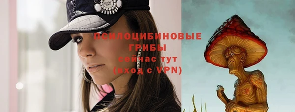 первитин Армянск