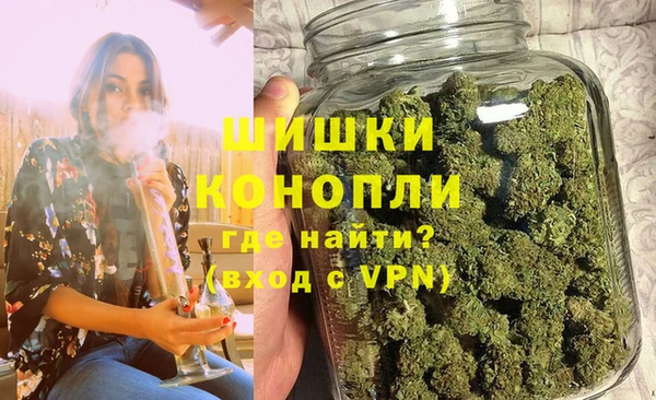 сатива Аркадак