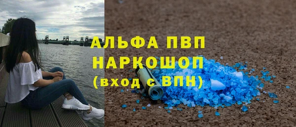 сатива Аркадак