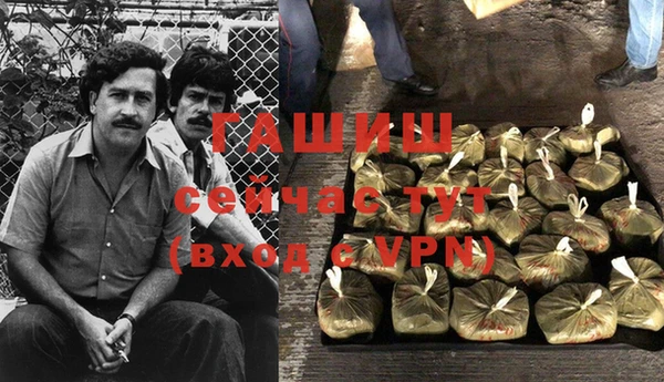 сатива Аркадак