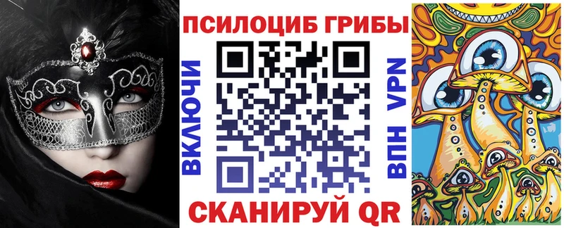 Галлюциногенные грибы Cubensis  Купить  Щигры 