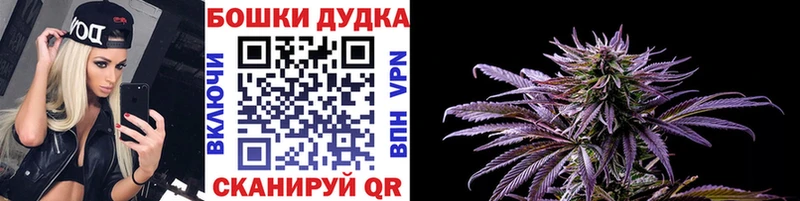 Канабис марихуана  Купить закладки  Щигры 